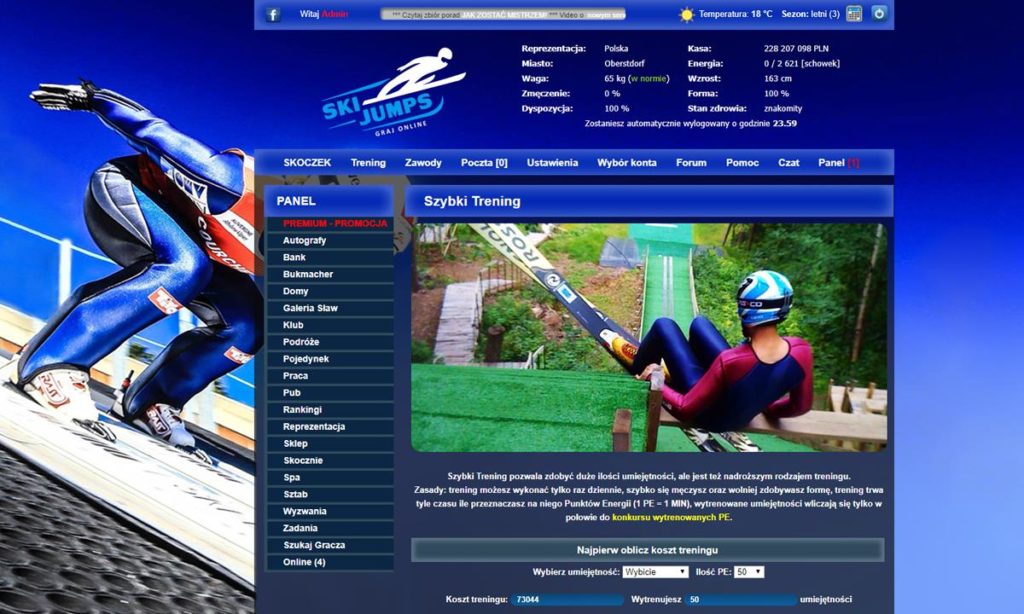 Ski Jumping gra online